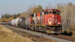 CN 5267